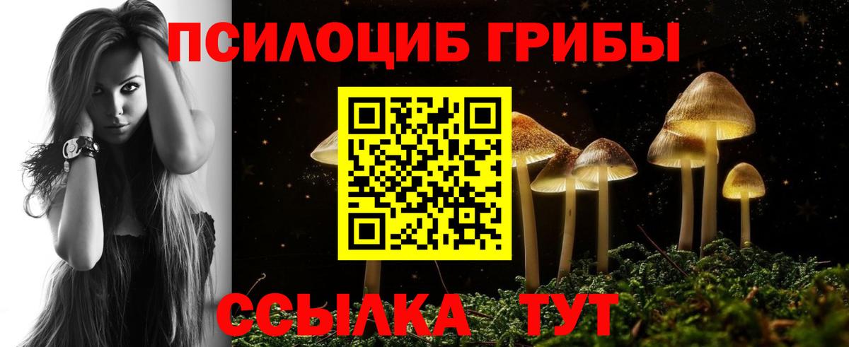 Псилоцибиновые грибы прущие грибы Краснознаменск