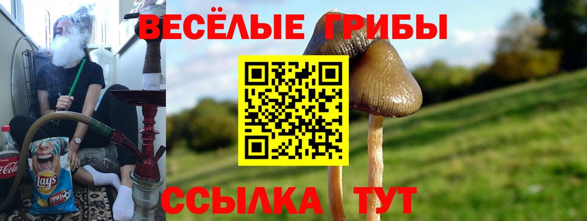 Галлюциногенные грибы Magic Shrooms  Вход с VPN  Краснознаменск 